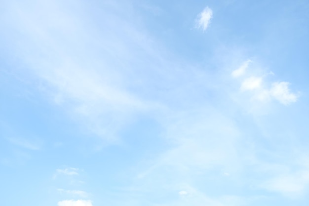 【全顺车型,全顺车型一览表】